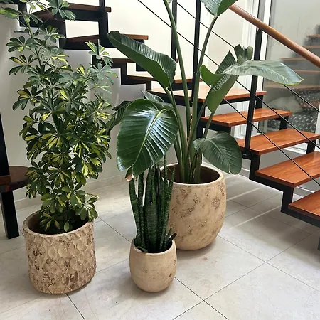 Stunning 2 Bedroom Duplex Close To Main With Seaviews * 卡门港