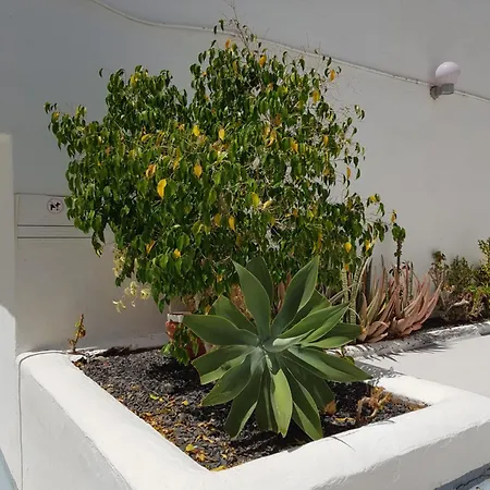 Stunning 2 Bedroom Duplex Close To Main With Seaviews 公寓